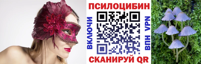 мориарти как зайти  Константиновск  Псилоцибиновые грибы мухоморы 